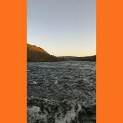 Anchor-None