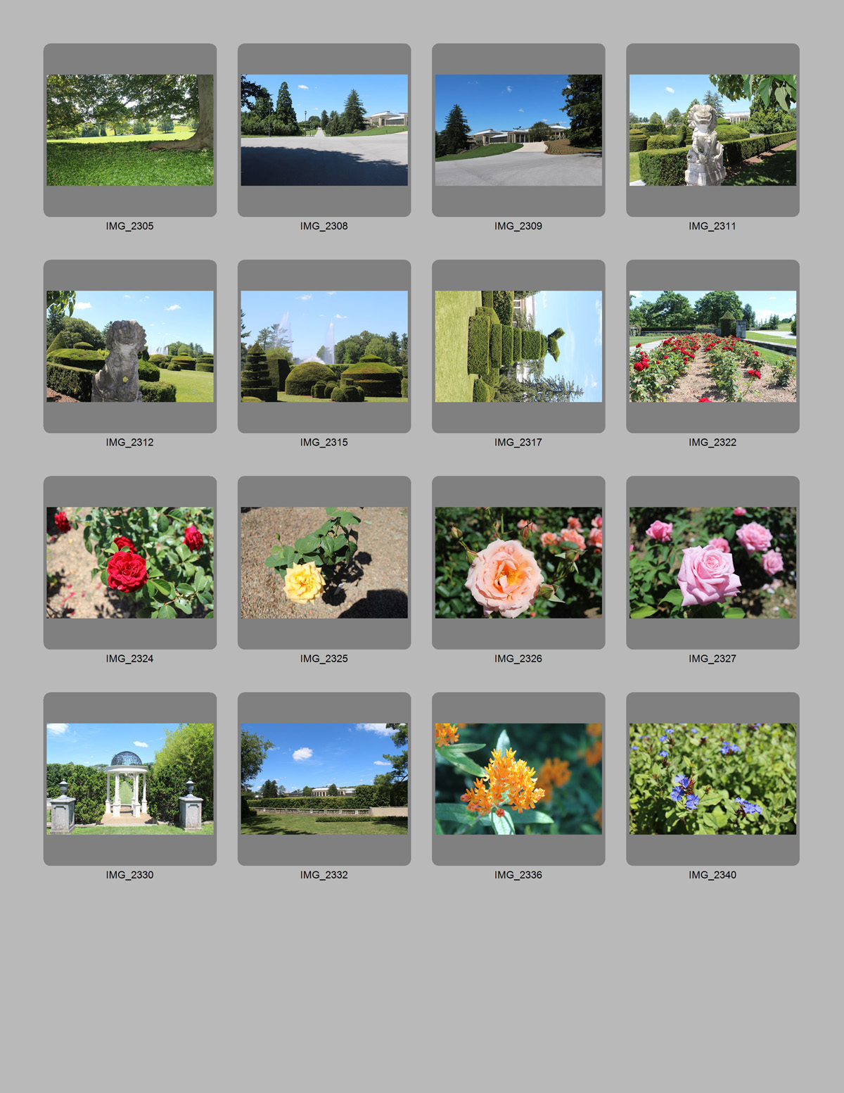 First contact sheet generated using custom parameters
