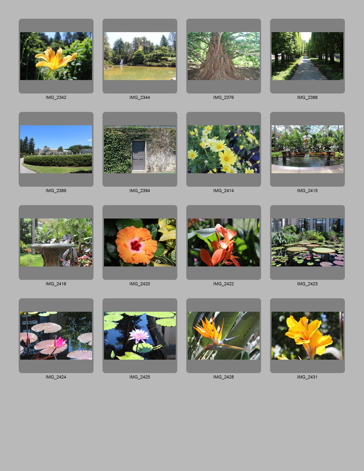 Second contact sheet generated using custom parameters