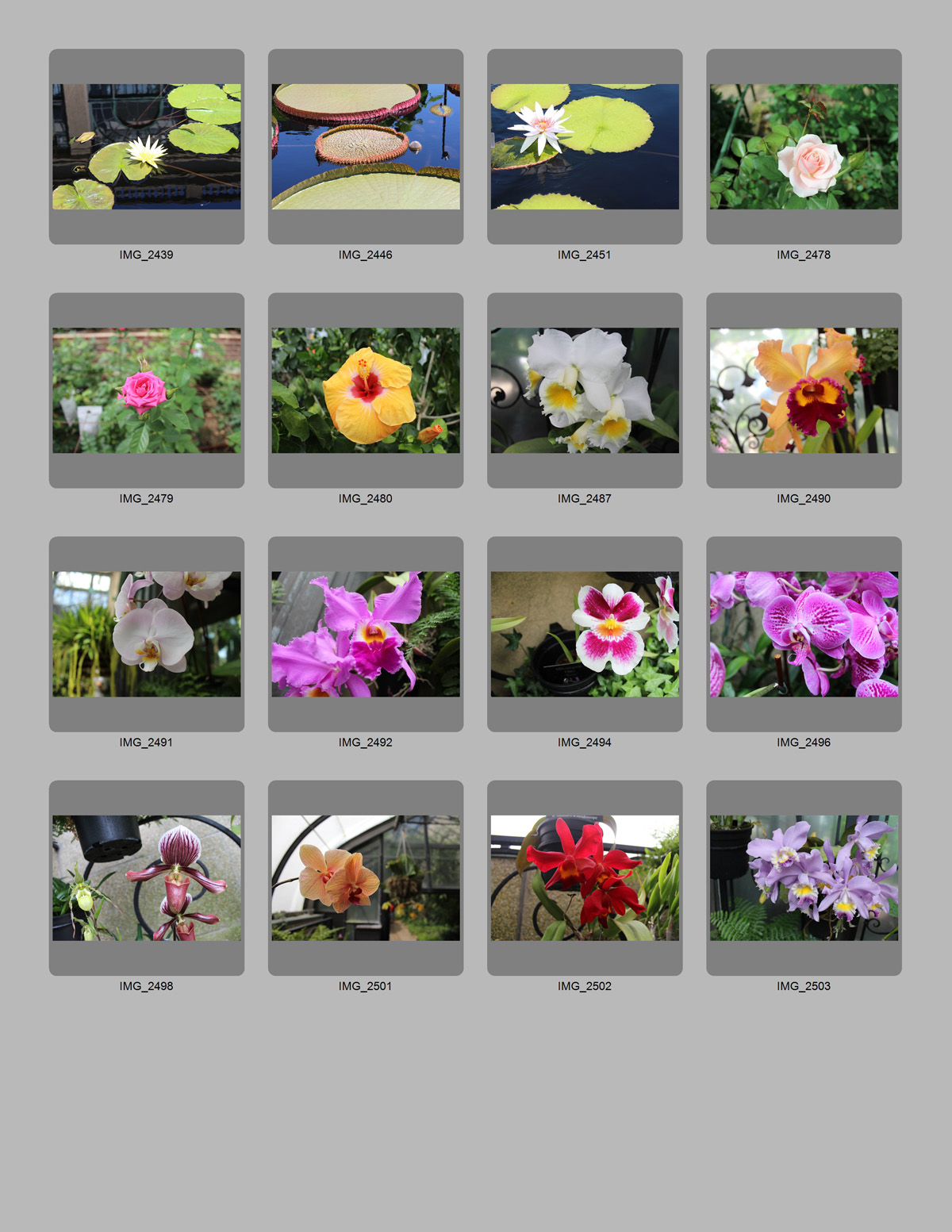 Third contact sheet generated using custom parameters