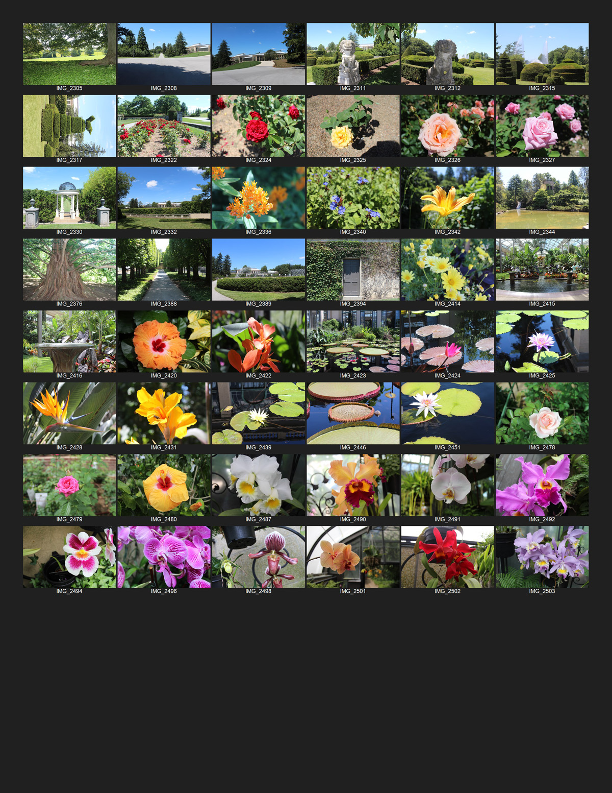 Contact sheet using only default parameters
