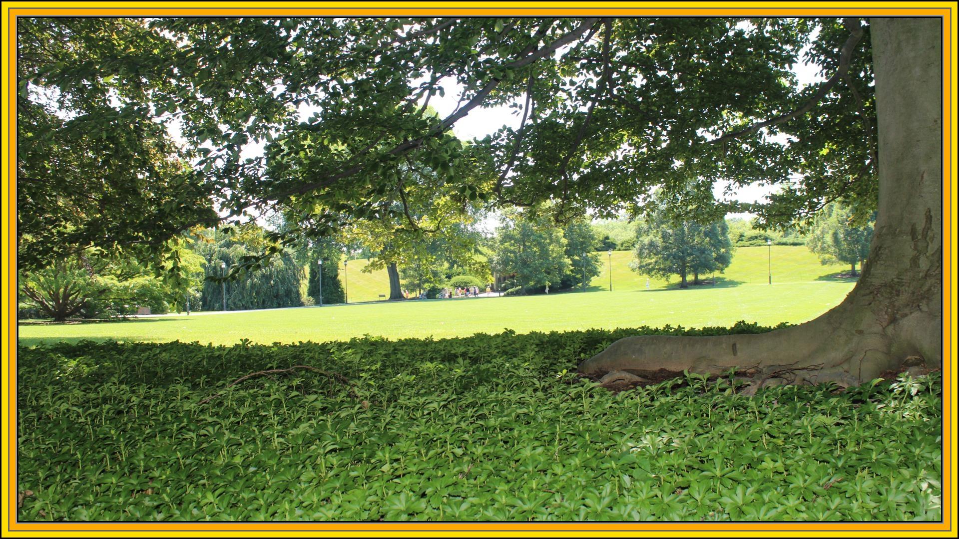 Image with a frame effect using the overlay module