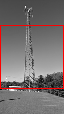 Example portrait image cropped to a square target image