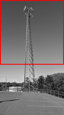 Example portrait image cropped and anchored to the top of the source image