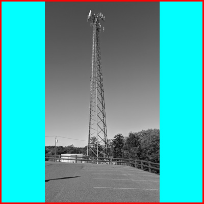 Example portrait image scaled to a square target image