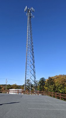 Example portrait source image